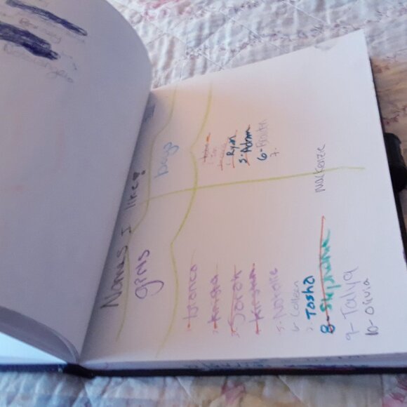 Vintage Y2K Personal Diary Teenage Girl Drama Class - Picture 14 of 15